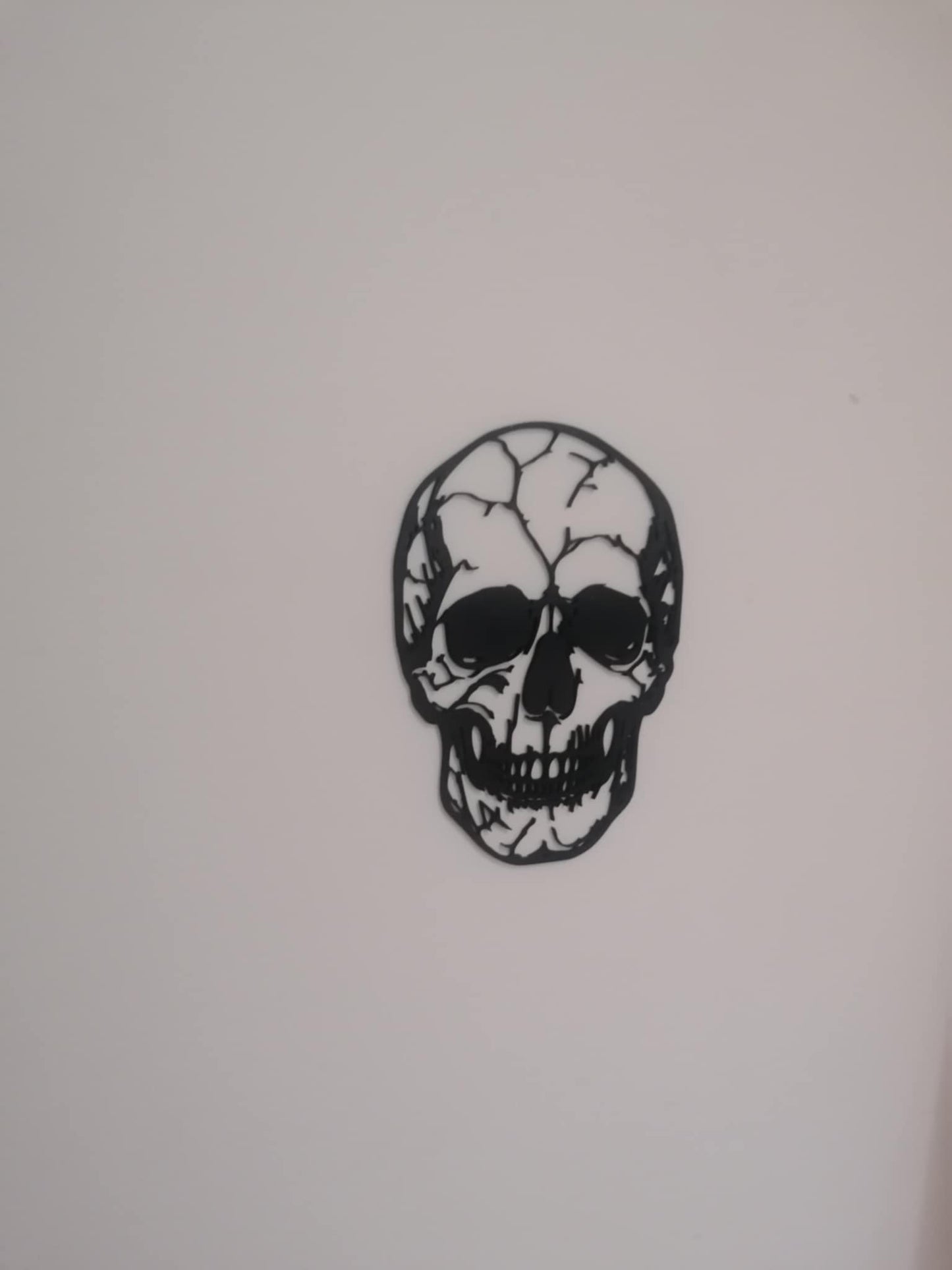 Cracked Skull Silhouette Wall Art