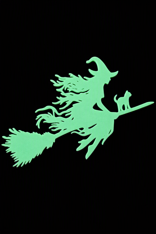 Midnight Flight Silhouette