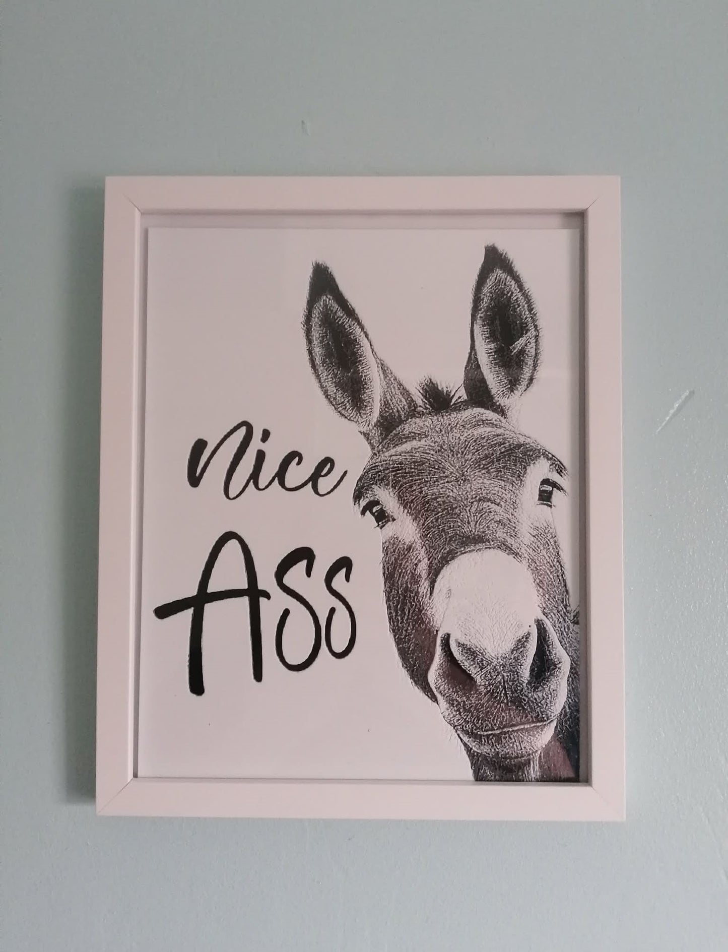 Nice Ass Donkey Wall Art – Funny Bathroom Decor (3D Printed)